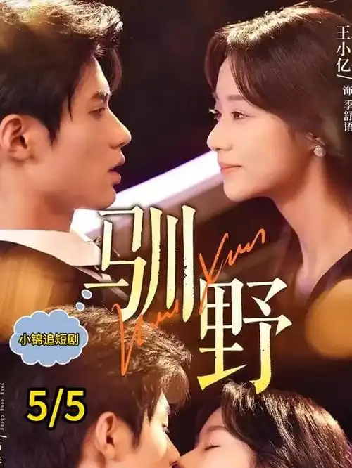 琅琊榜 古装剧集海报